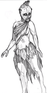 Sketch