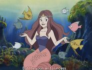 The Mermaid Princess