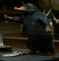 Niffler