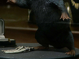 Niffler