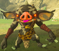 Black Bokoblin