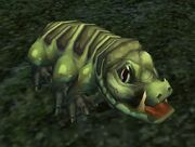 Snarly, Crocolisk