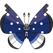 Polar Pattern Vivillon