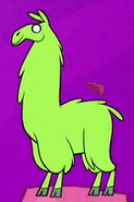 Llama