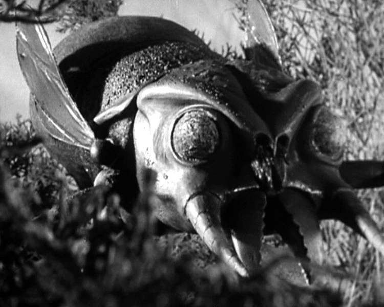 Monster from Green Hell | Non-alien Creatures Wiki | Fandom