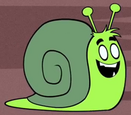 Snail