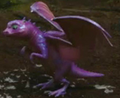 Acid-Spitting Mini Dragon