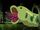 Green-Skinned Worm (Amphibia)