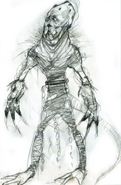 Sketch