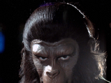 Caesar (Planet of the Apes)