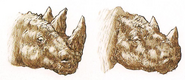 Horn variations of the Diablosaurus