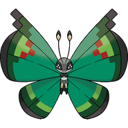 Garden Pattern Vivillon