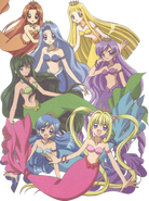 The Mermaids from Mermaid Melody Pichi Pichi Pitch.