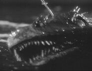 The Viking Women and the Sea Serpent
