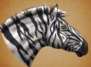 A view of a zorse's head