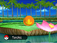 Torchic Egg