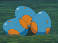 Mudkip Eggs