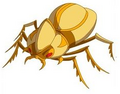 Gold Scarabese