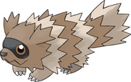 Hoennian Zigzagoon