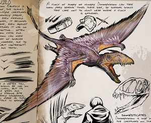 Dimorphodon equesica