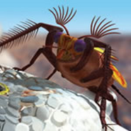 A Bumblebeetle lands on the corpse of a Ocean Flish
