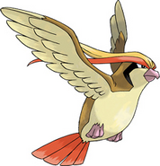 Pidgeot