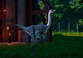 Struthiomimus