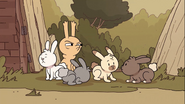 Rabbit form
