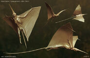 Concept art of leafwings, depicting them with stingray like appearances.