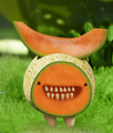 Cantelope