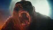 Kong's appearance in the 2017 film, Kong: Skull Island, played by Terry Notary.