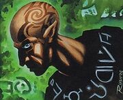 Fyndhorn Elder