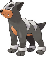 Houndour
