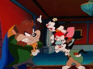 ANIMANIACS