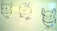 Another beta design of Torchic.