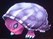 Shell Critter 2