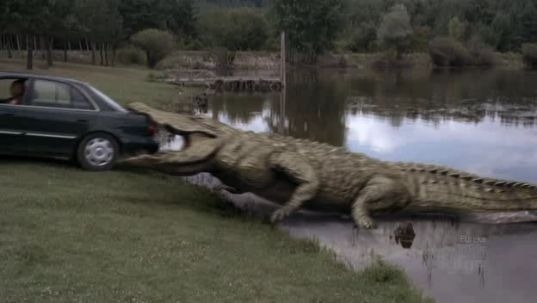 Are There Crocodiles in Maine