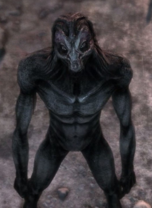 Giant (Dark Souls II), Non-alien Creatures Wiki