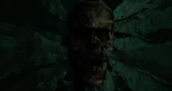 It | Non-alien Creatures Wiki | Fandom