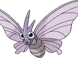 Venomoth