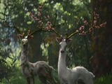 Mutant Deer (Annihilation)