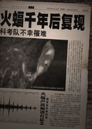 The newspaper's description of the bat