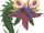 Jovian Flytrap