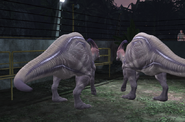 Two parasaurolophus', as they appeared in Telltale's Jurassic Park.