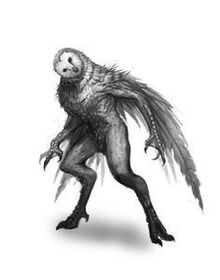 Wereowl