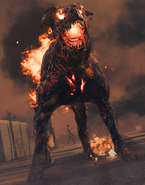 Call of Duty
