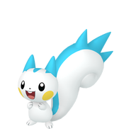Female Pachirisu