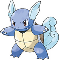 Wartortle