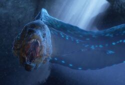 ☆EELS ON THE MOVE Mysterious Creatures over Millions of