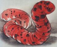 The Beasts that Hide from Man